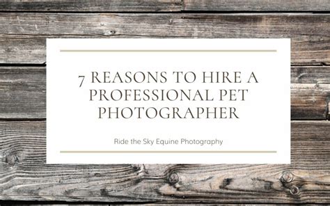 7 Reasons To Hire A Professional Pet Photographer Ride The Sky Equine