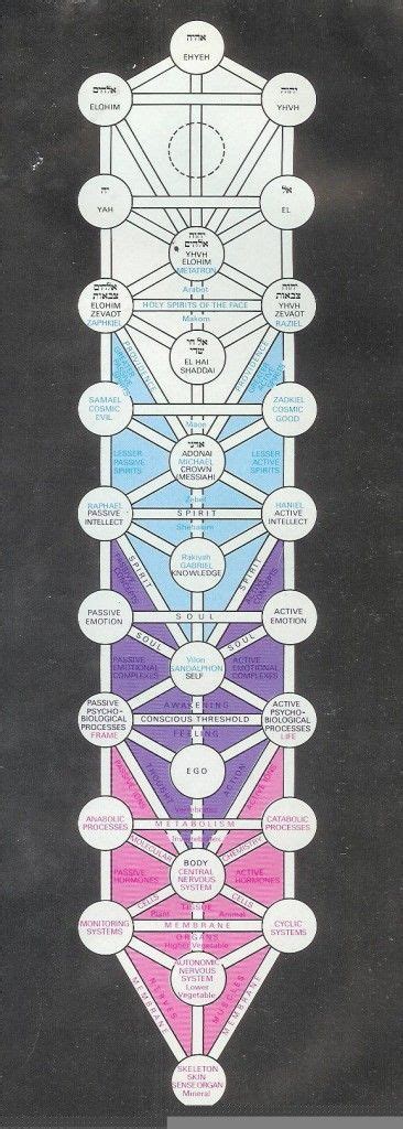 Los Cuatro Mundos KABBALAH Significado De Arbol Significado Del