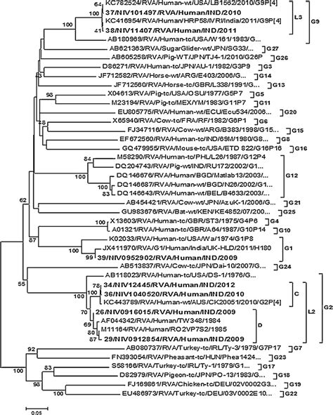 Phylogenetic Tree Based On The Partial Nucleotide Sequences Of The Vp7