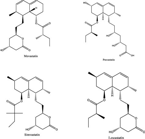 Type I Statins—mevastatin Pravastatin Simvastatin And Lovastatin