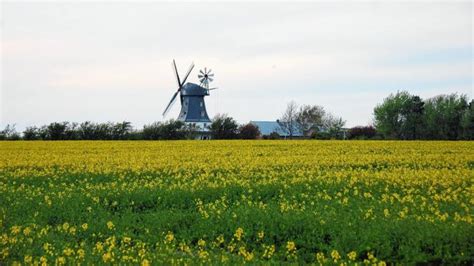 Das Wetter im Mai auf Föhr Kein Frühlingswetter in Wyk SHZ