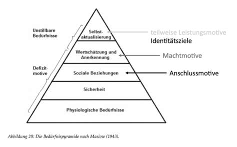 AP II Seminar 11 Motive Karteikarten Quizlet