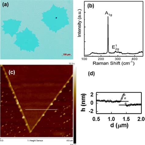 A Top View Optical Microscope Image Of Cvd Grown Mose 2 Crystals On A Download Scientific