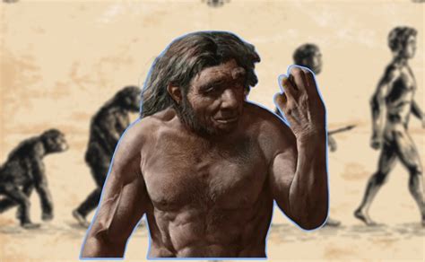 Estudio Neandertales se extinguieron por la reproducción