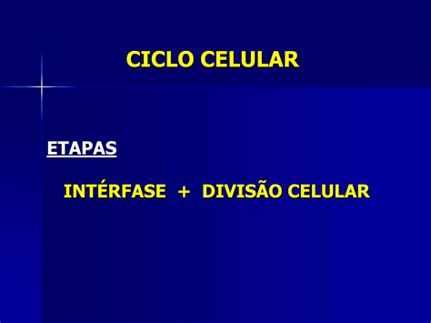 Aula 8 Ciclo Celular Mitose E Meiose PPT