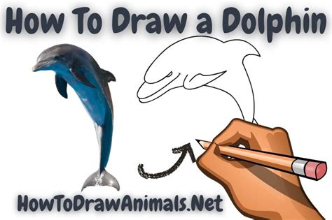 How To Draw A Panther Easy Drawing Tutorial