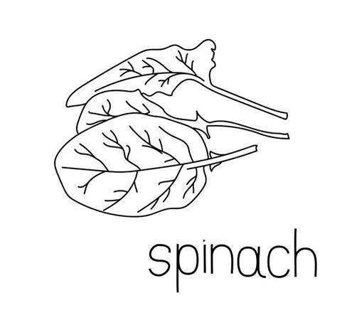 Spinach Coloring Page Coloring Pages 🎨