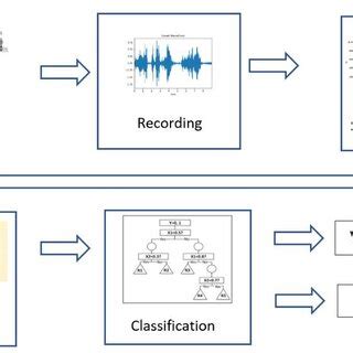 Flowchart Of The Machine Learning Classification Of Species And