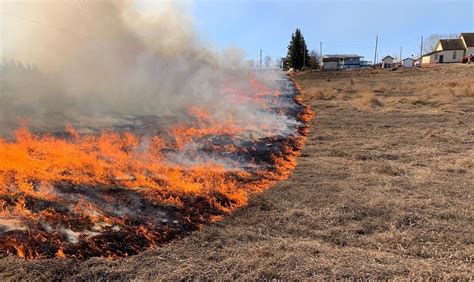 Grande Prairie Forest Area Wildfire Danger Now Moderate My Grande Prairie Now