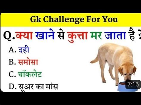 Interesting Gk GK Questions Answer GK Ka Sawal Gk Quez Gk