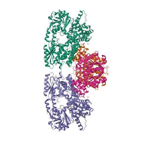 RCSB PDB 7O4Q Structure Of Mycobacterium Tuberculosis Beta Oxidation