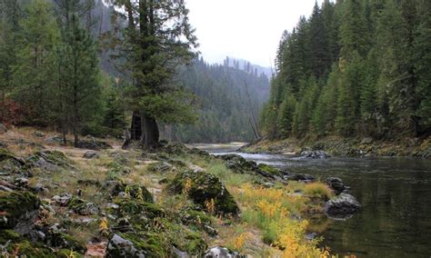 Bitterroot National Forest, Montana - AllTrips