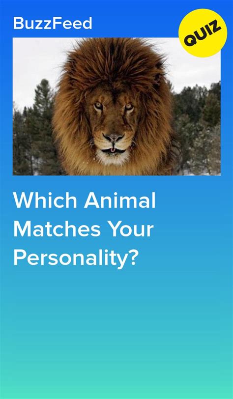 Which Animal Matches Your Personality Animal Quiz Fun Personality