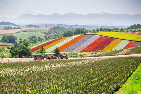 Shikisai no Oka - Hokkaido Guide