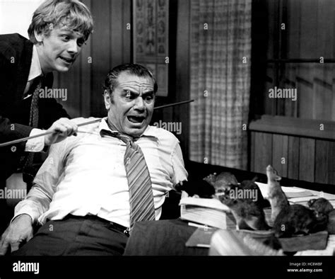 WILLARD, Bruce Davison, Ernest Borgnine, 1971 Stock Photo - Alamy