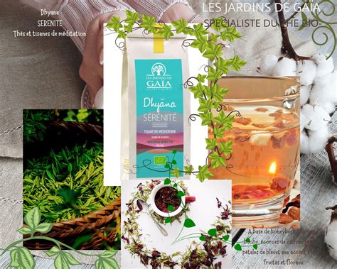 Tisane Dyana S R Nit Bio Sachet De G Institut Inari