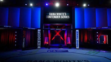 Dana Whites Contender Series Preview Picks And Best Bets