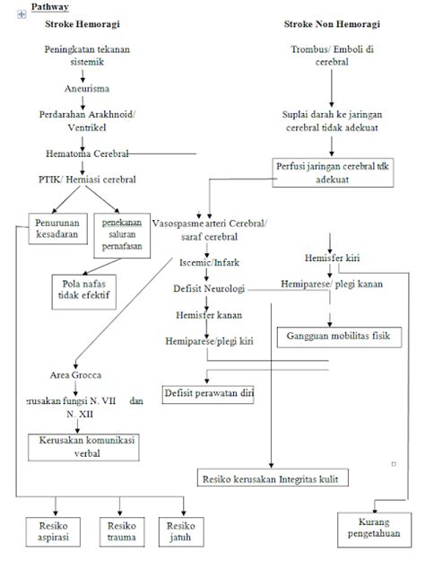 Pathway Woc Stroke Hemoragik Lengkap Afs Downloader