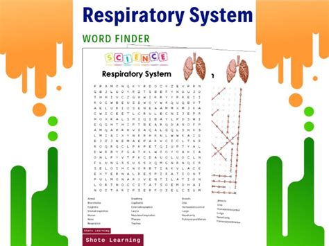 Respiratory System Science Activity Bundle Word Find Scramble Words