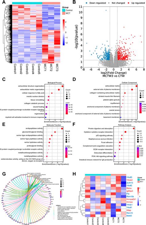 Frontiers Comprehensive Analysis Of The Expression Of N