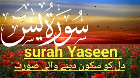 Surah Yaseen Yaseen Full Tilawate Beautiful Quran Recitation سورۃ یاسین36