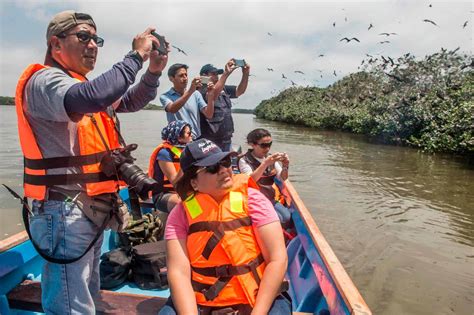 Tour Manglares De Tumbes A Tu Alcance Privado Turismoi Pe