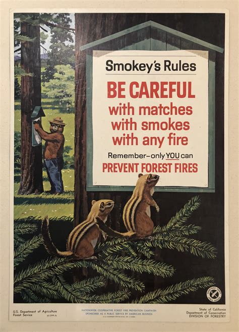 Smokeys Rules Be Careful With Matches With Smokes With Any Fire