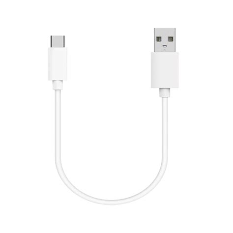 Usb Type C Charging Cable 25cm Vapepenzone