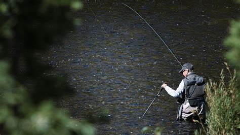 Guide To Fly Fishing For Beginners: From Gear To Knot Tying