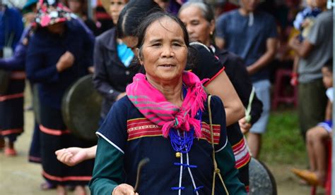 Local Communities And Forests At Cop27 What You Need To Know Recoftc