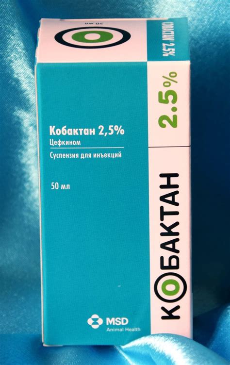 Антибиотики