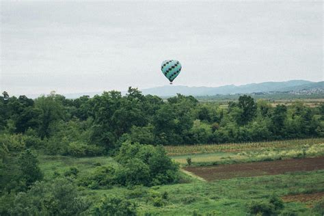 Hot-air Balloon over Green Trees · Free Stock Photo