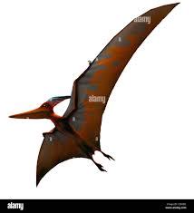 Pteranodon The Largest Flying Reptile With A Ft Wingspan