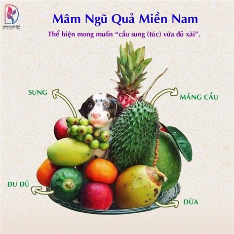 Ý Nghĩa Mâm Ngũ Quả 3 Miền Và Tác Dụng Làm Đẹp Của Các Loại Quả