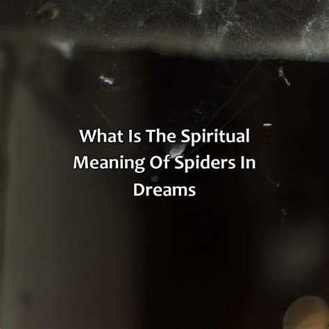 What Is The Spiritual Meaning Of Spiders In Dreams Relax Like A Boss