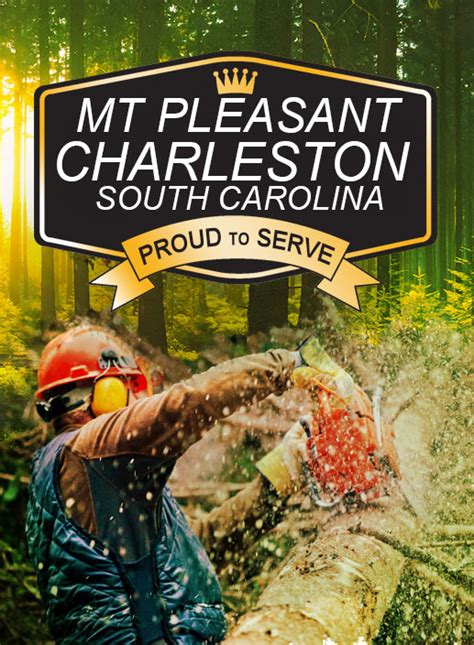 Mt Pleasant Tree Service South Carolina