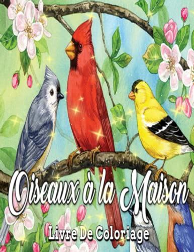 Oiseaux à la Maison Livre de coloriage Beau design d oiseaux et de