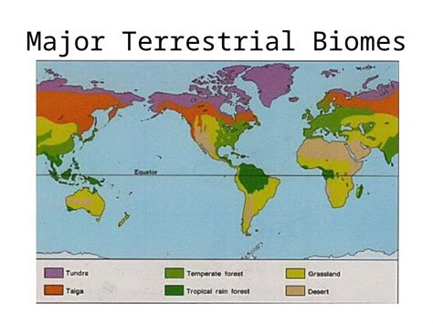 Ppt Major Terrestrial Biomes What Is A Biome A Complex Biotic