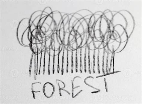 forest drawn in pencil 9713936 Stock Photo at Vecteezy