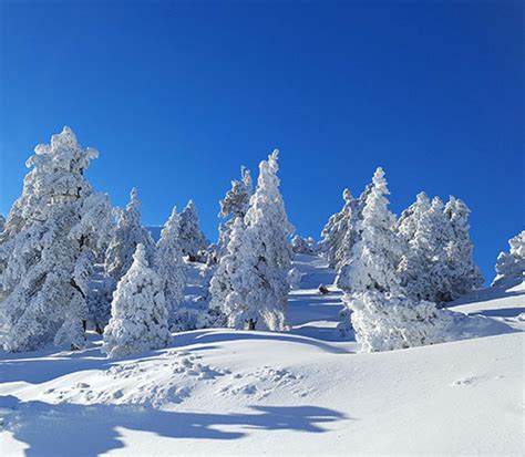 Mount Baldy Ski Lifts - Discover La Mirada California