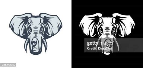 400 Elephant Trunk Silhouette Stock Photos, High-Res Pictures, and Images - Getty Images