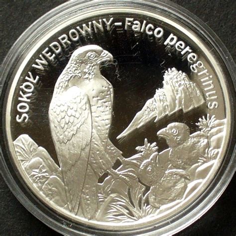 Polen 20 Zloty 2008 925er Silber 28 28g Wanderfalke PP MA Shops