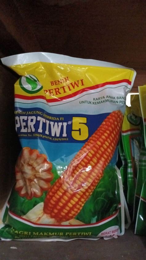 Benih Jagung Hibrida Super Pertiwi 5 Isi 1 Kg Lazada Indonesia