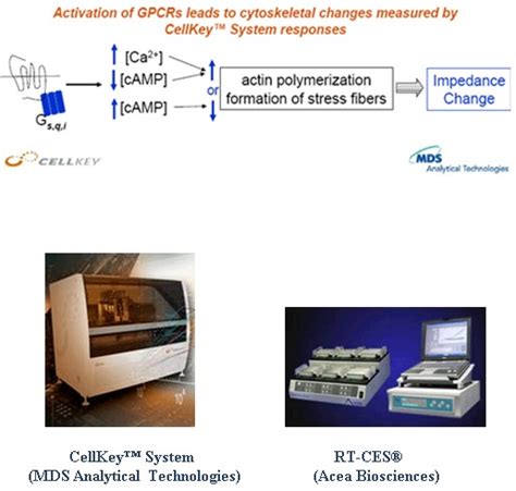 Impedance Based Technologies Assay Guidance Manual Ncbi Bookshelf