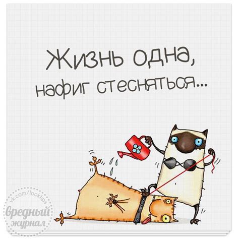 Фото красота, растения, люди, рисунки, шок, насекомые, эмоции, красиво ...