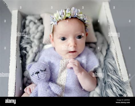 Newborn Baby Portrait Stock Photo Alamy