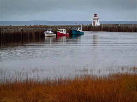 Boats Harbor Ocean Royalty Free Stock Photo