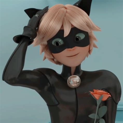 Total Imagen Im Genes De Cat Noir De Miraculous Viaterra Mx