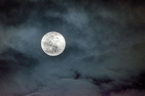Full Moon in the Sky · Free Stock Photo