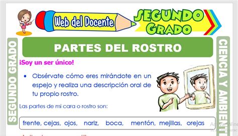 Contaminación Y Cuidado Del Aire Para Segundo Grado De Primaria